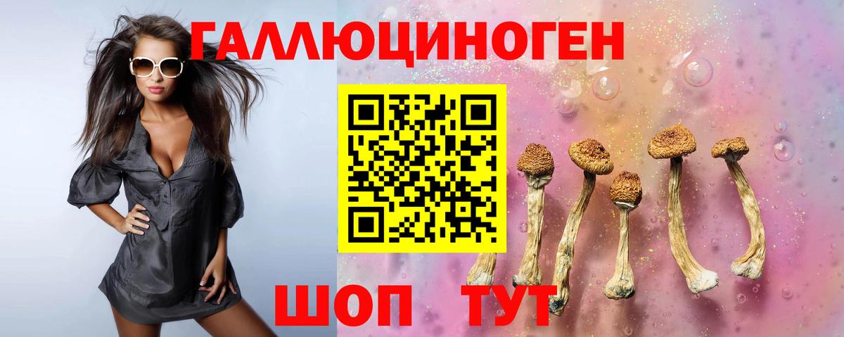 Мценск  Псилоцибиновые грибы мухоморы  Вход с VPN 